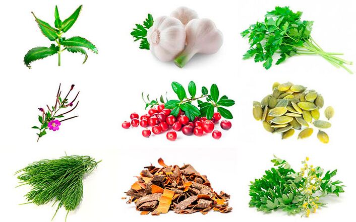 Remedios populares para o tratamento da prostatite